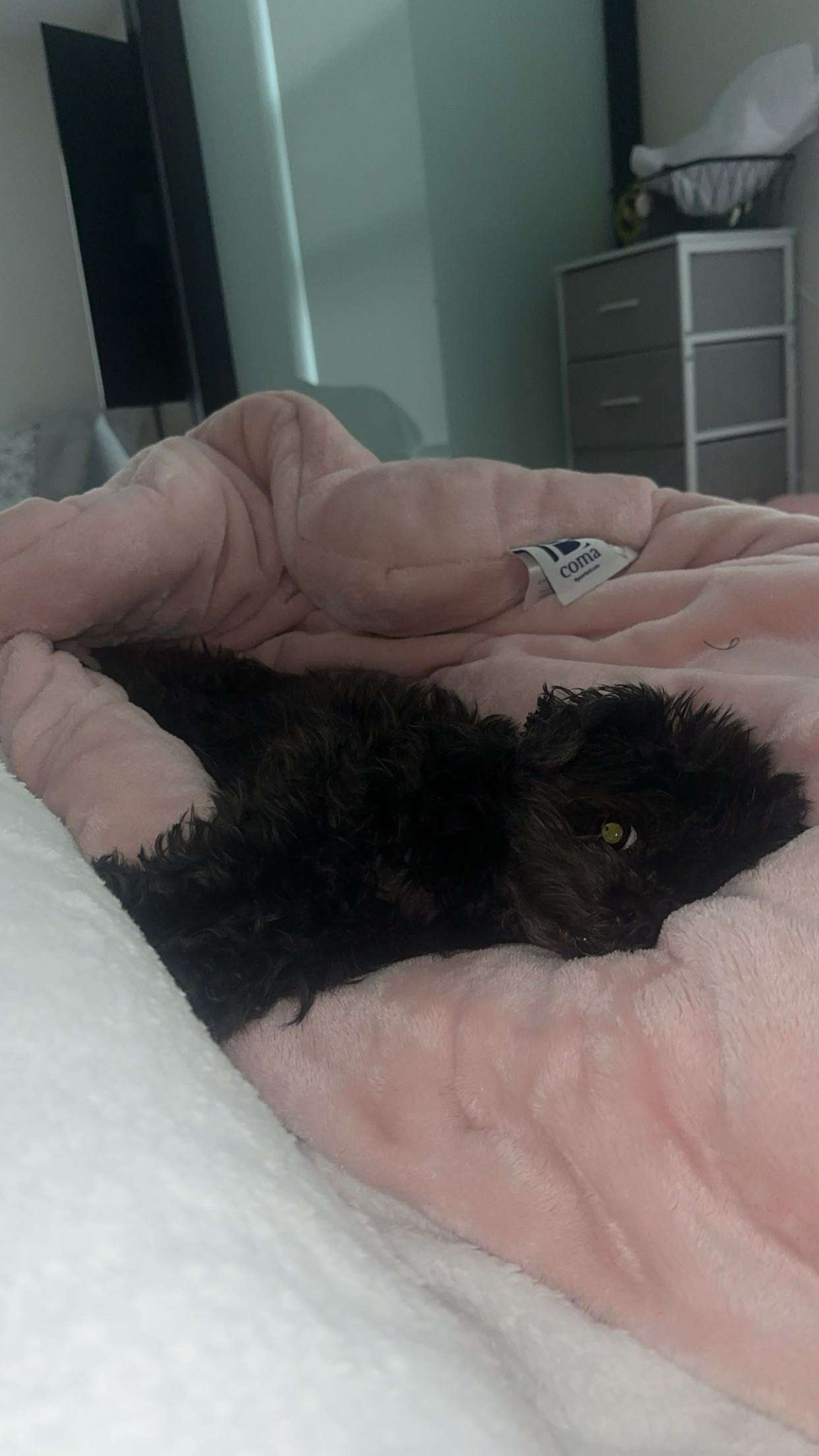 jaynagirl snapchat image archive image