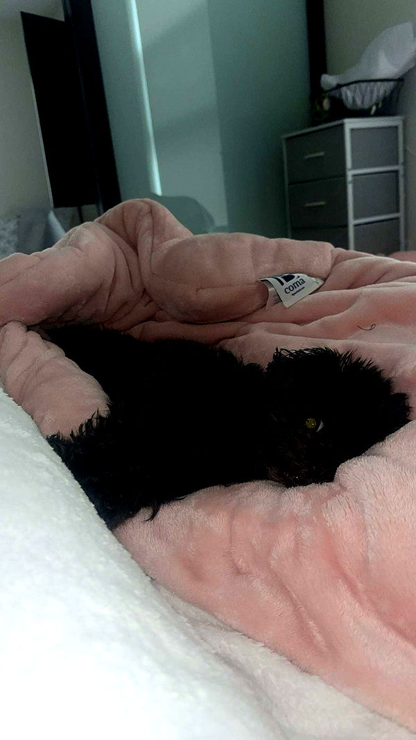 jaynagirl image ~ Altpins