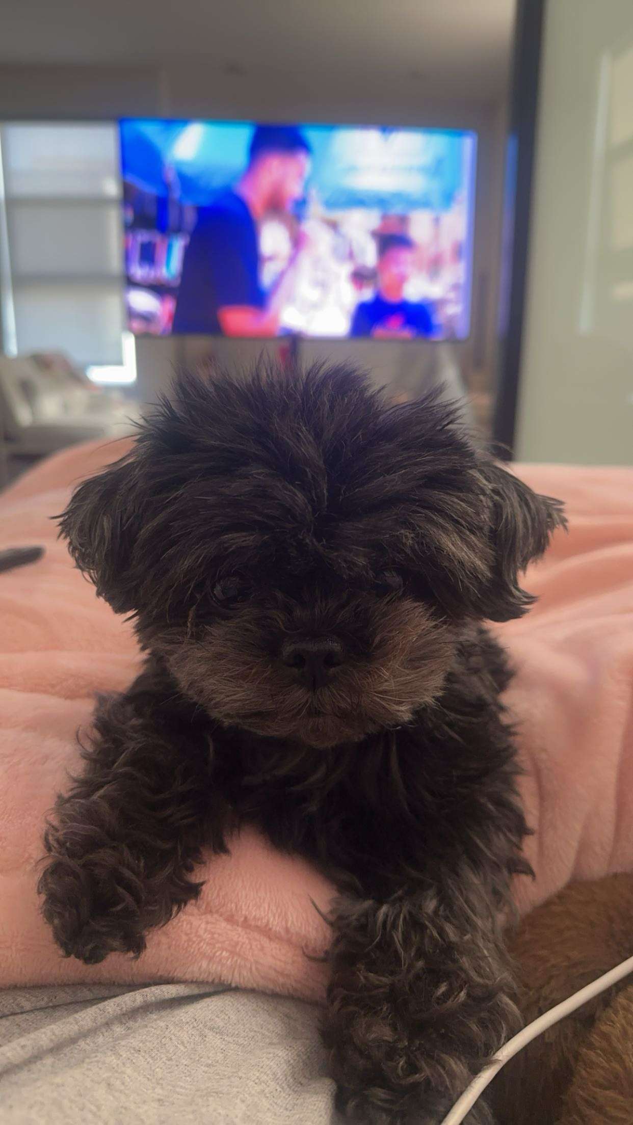 jaynagirl snapchat image archive image