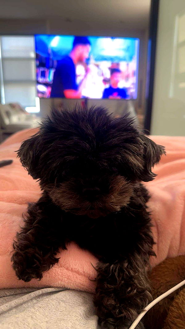 jaynagirl image ~ Altpins