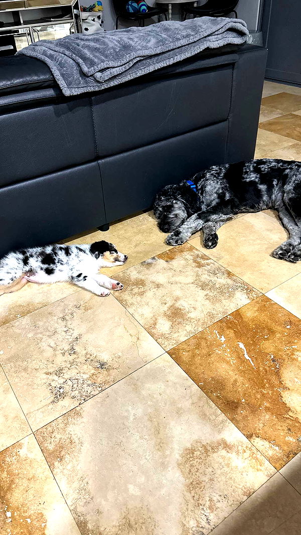 jaynagirl image ~ Altpins