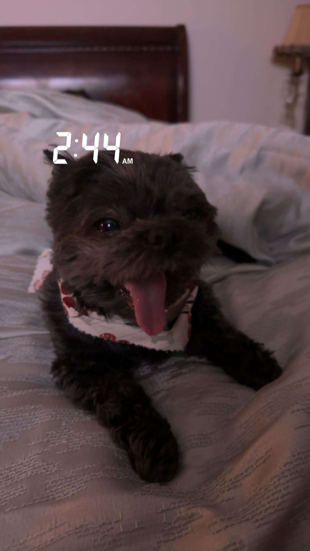 jaynagirl snapchat image archive image