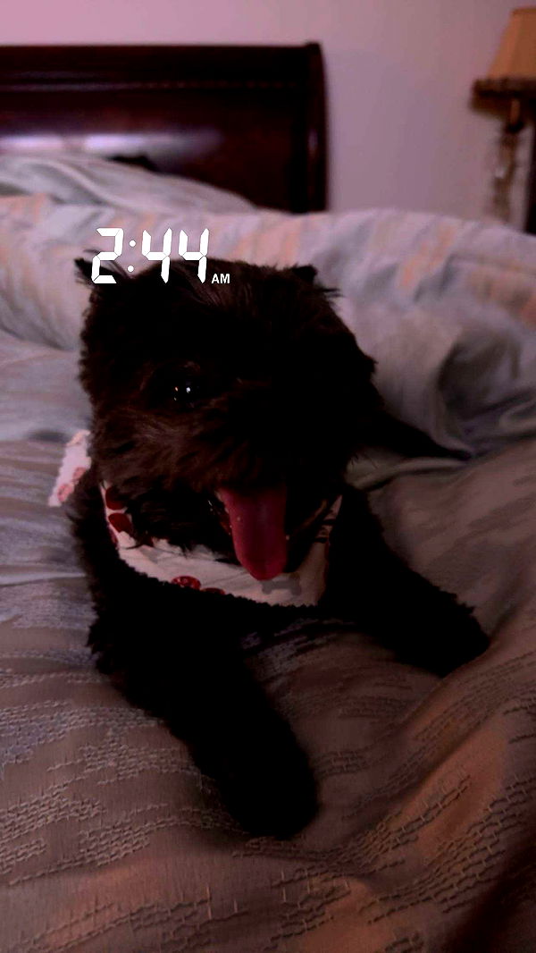 jaynagirl image ~ Altpins