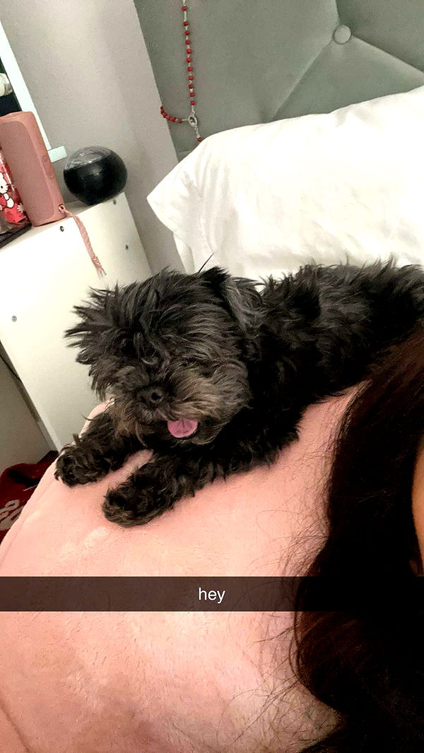 jaynagirl image ~ Altpins