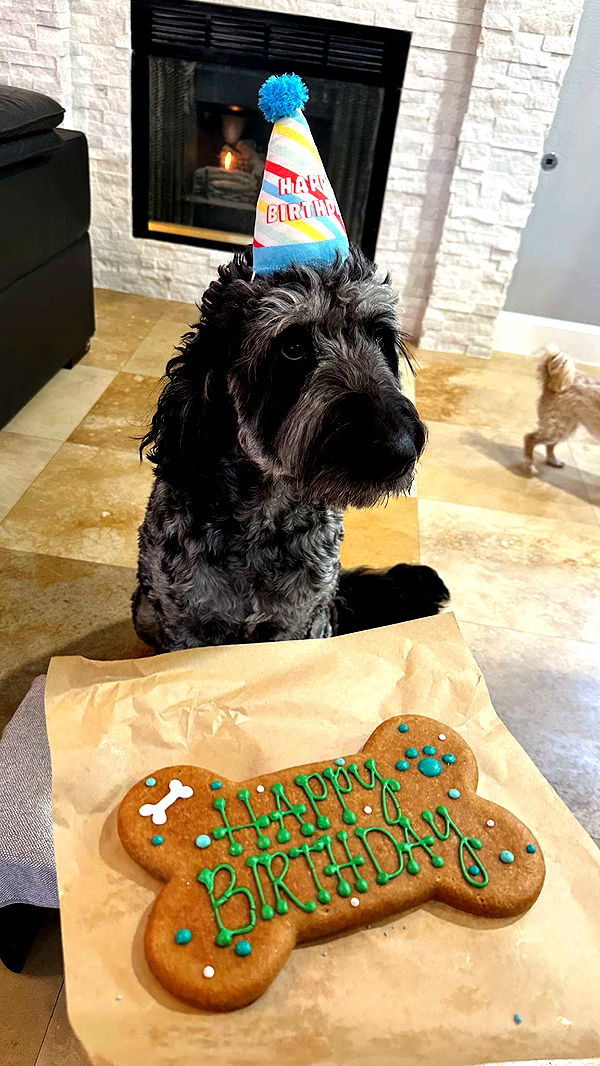 jaynagirl image ~ Altpins