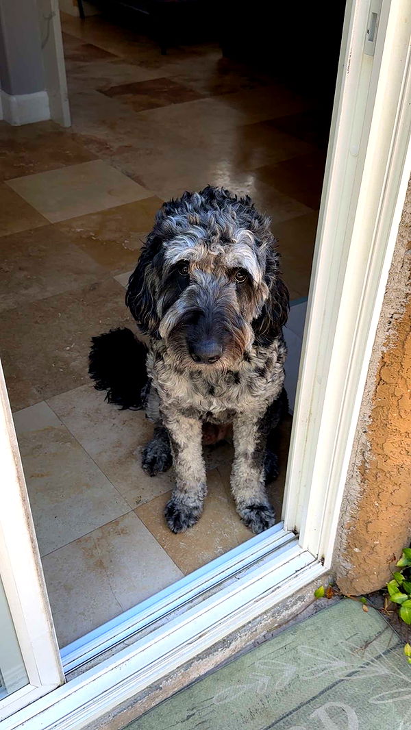 jaynagirl image ~ Altpins