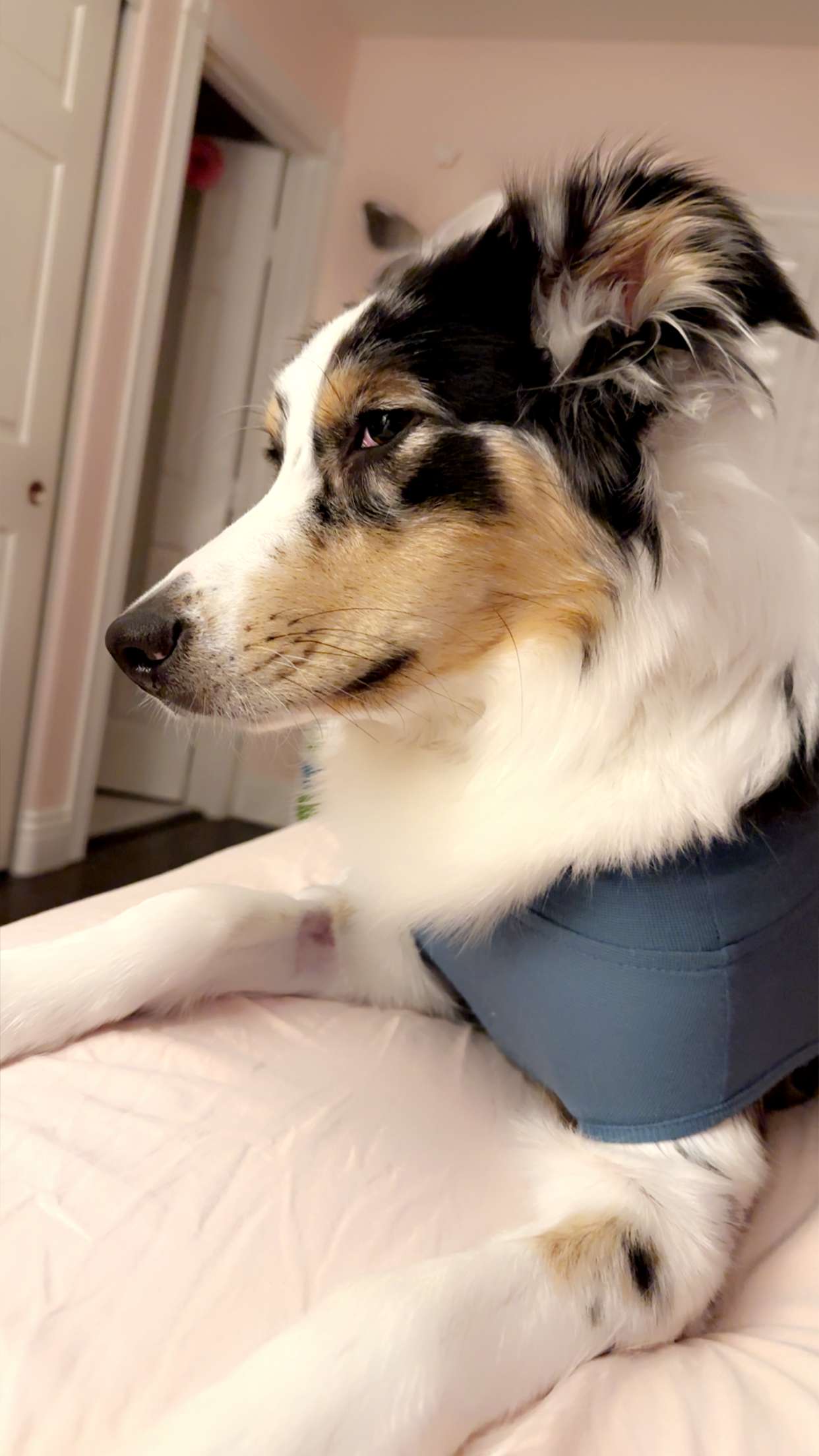 jaynagirl snapchat image archive image