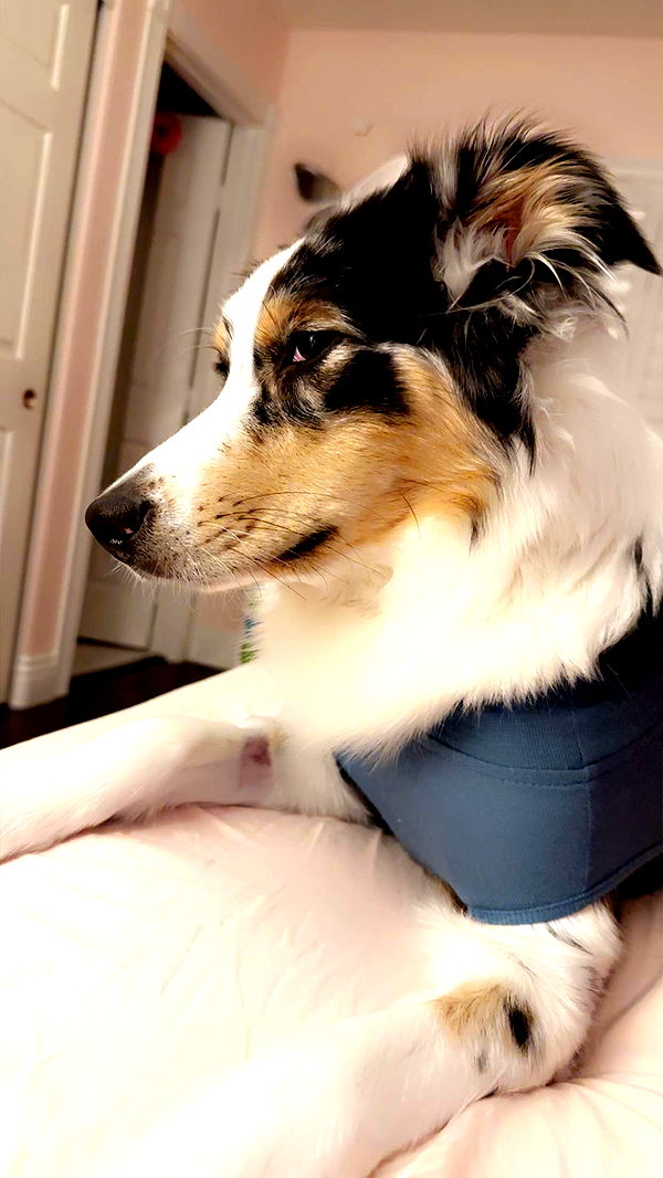 jaynagirl image ~ Altpins