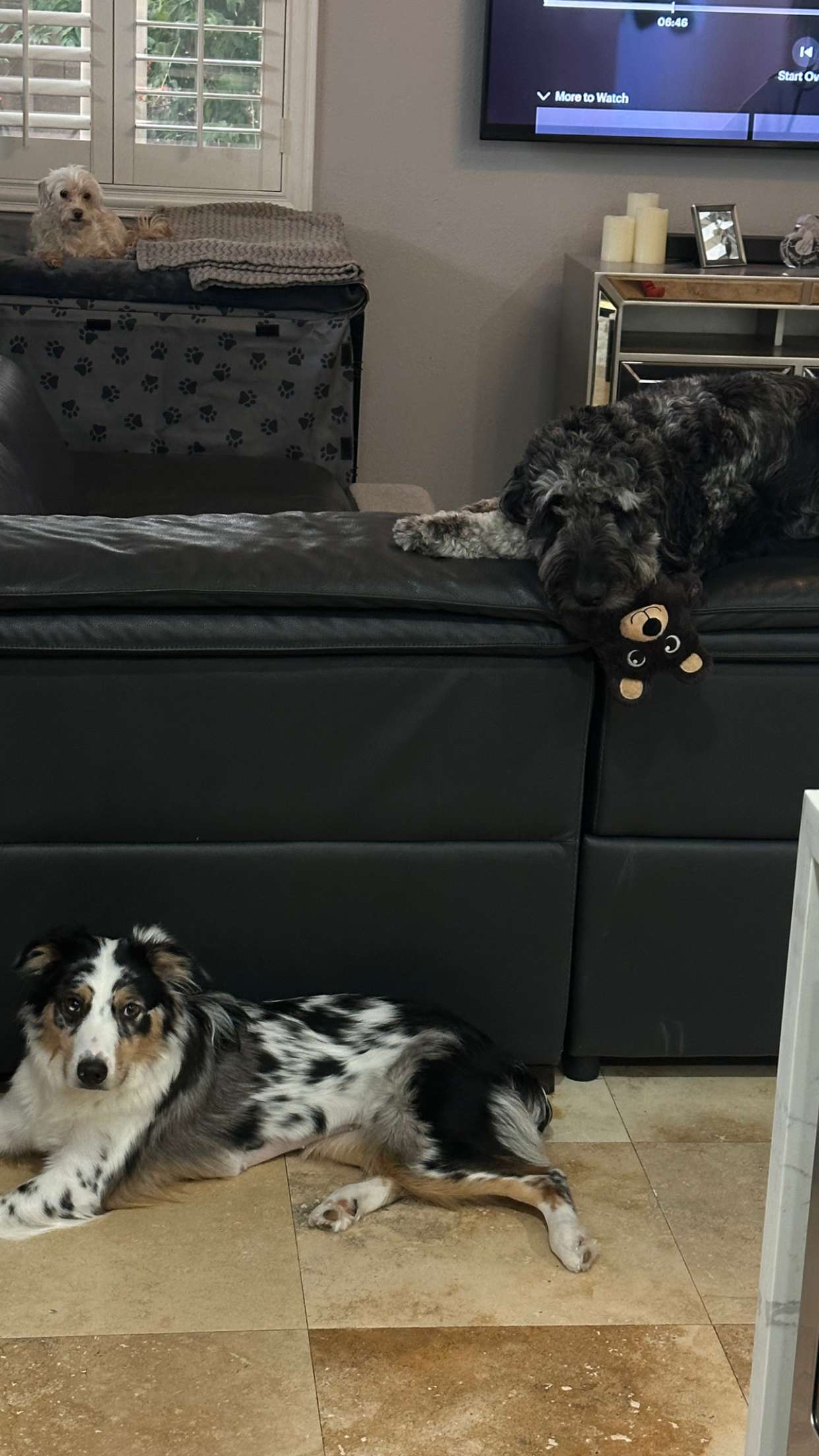 jaynagirl snapchat image archive image