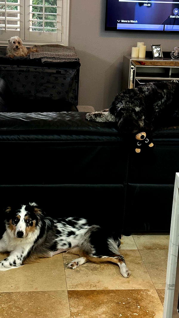 jaynagirl image ~ Altpins