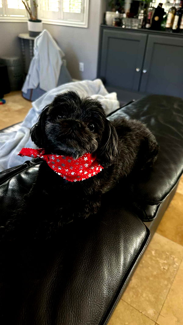 jaynagirl image ~ Altpins