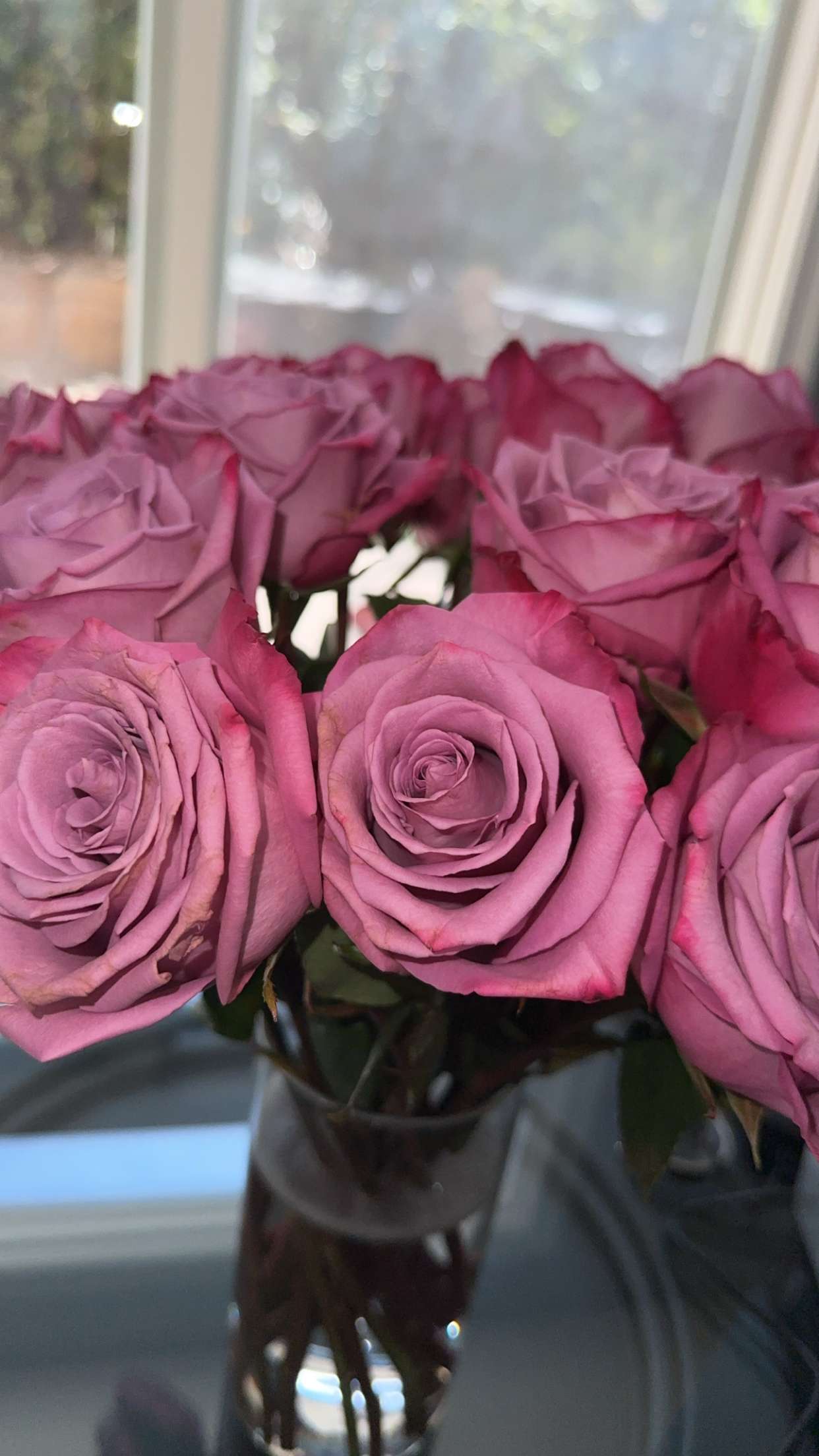 jaynagirl snapchat image archive image