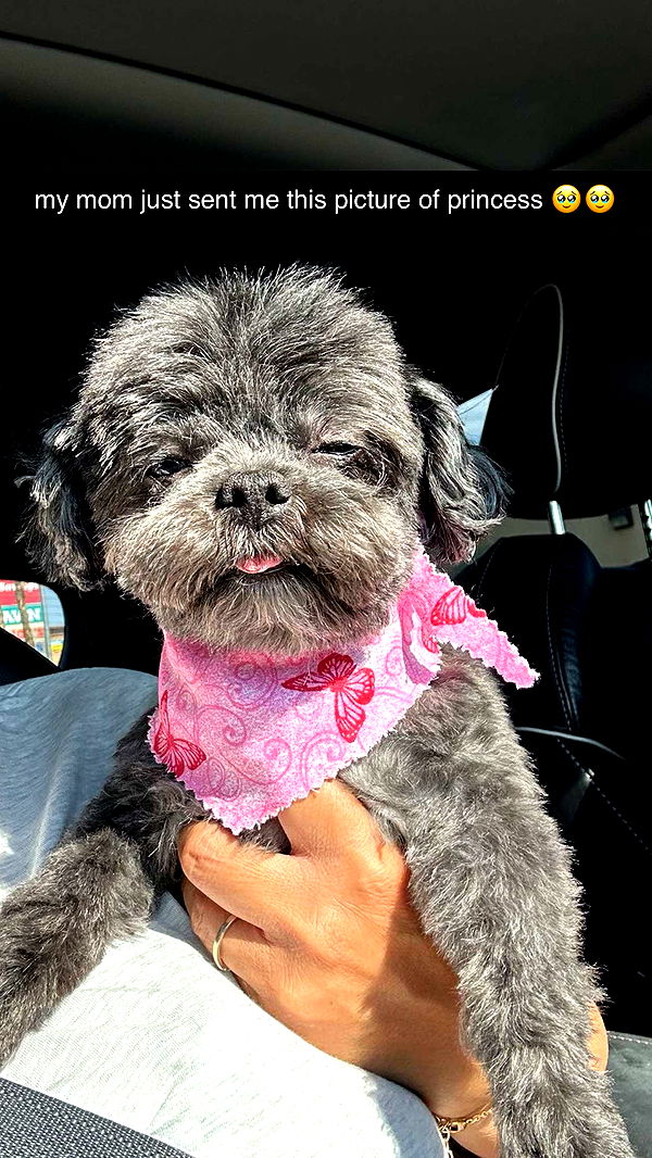 jaynagirl image ~ Altpins