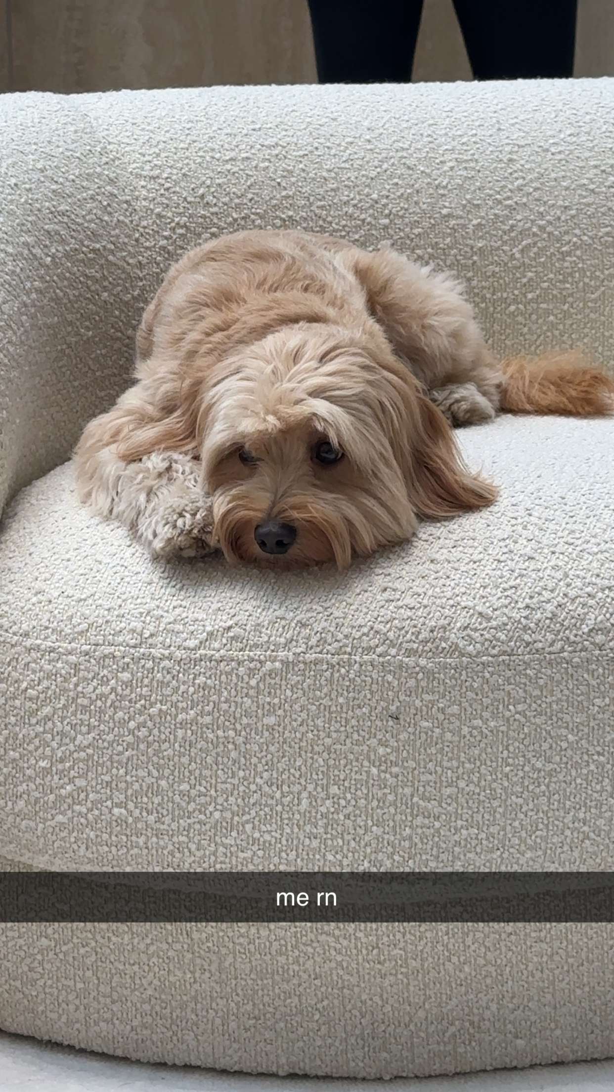 jaynagirl snapchat image archive image