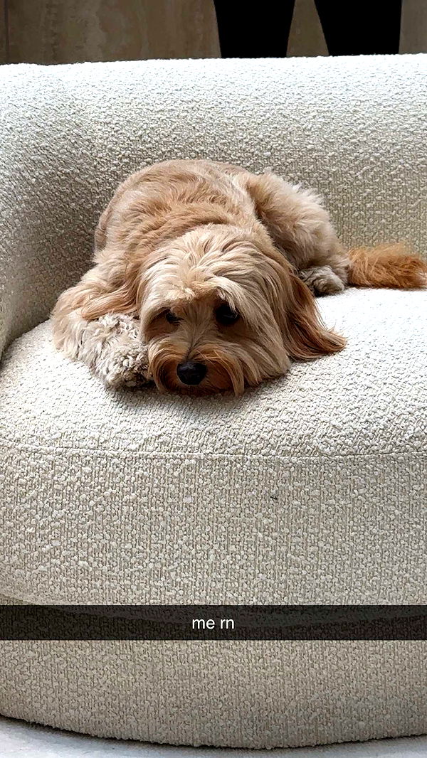 jaynagirl image ~ Altpins