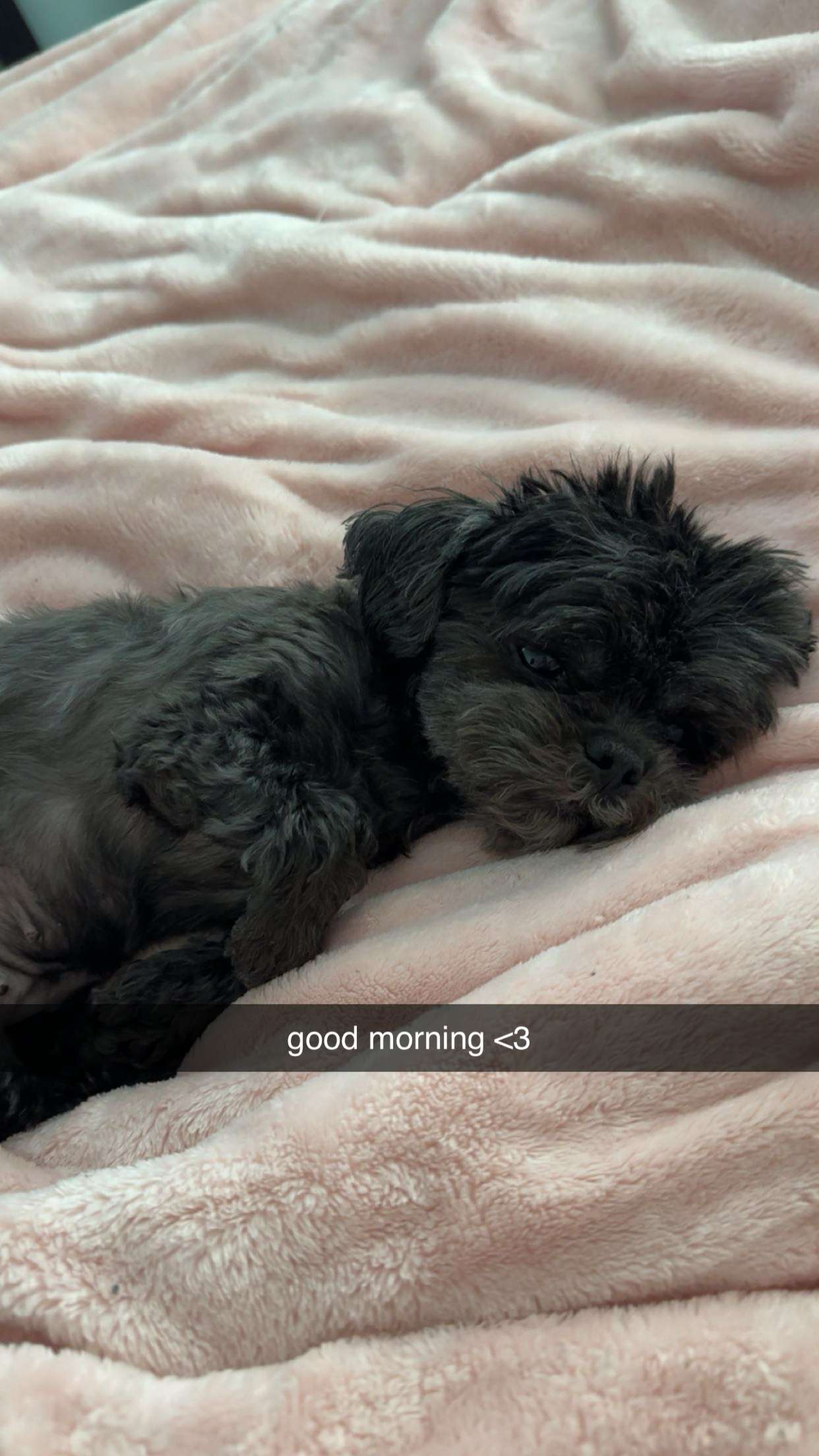 jaynagirl snapchat image archive image