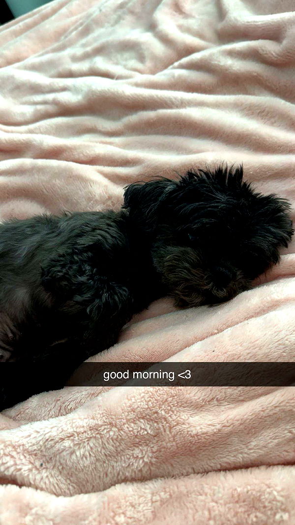 jaynagirl image ~ Altpins