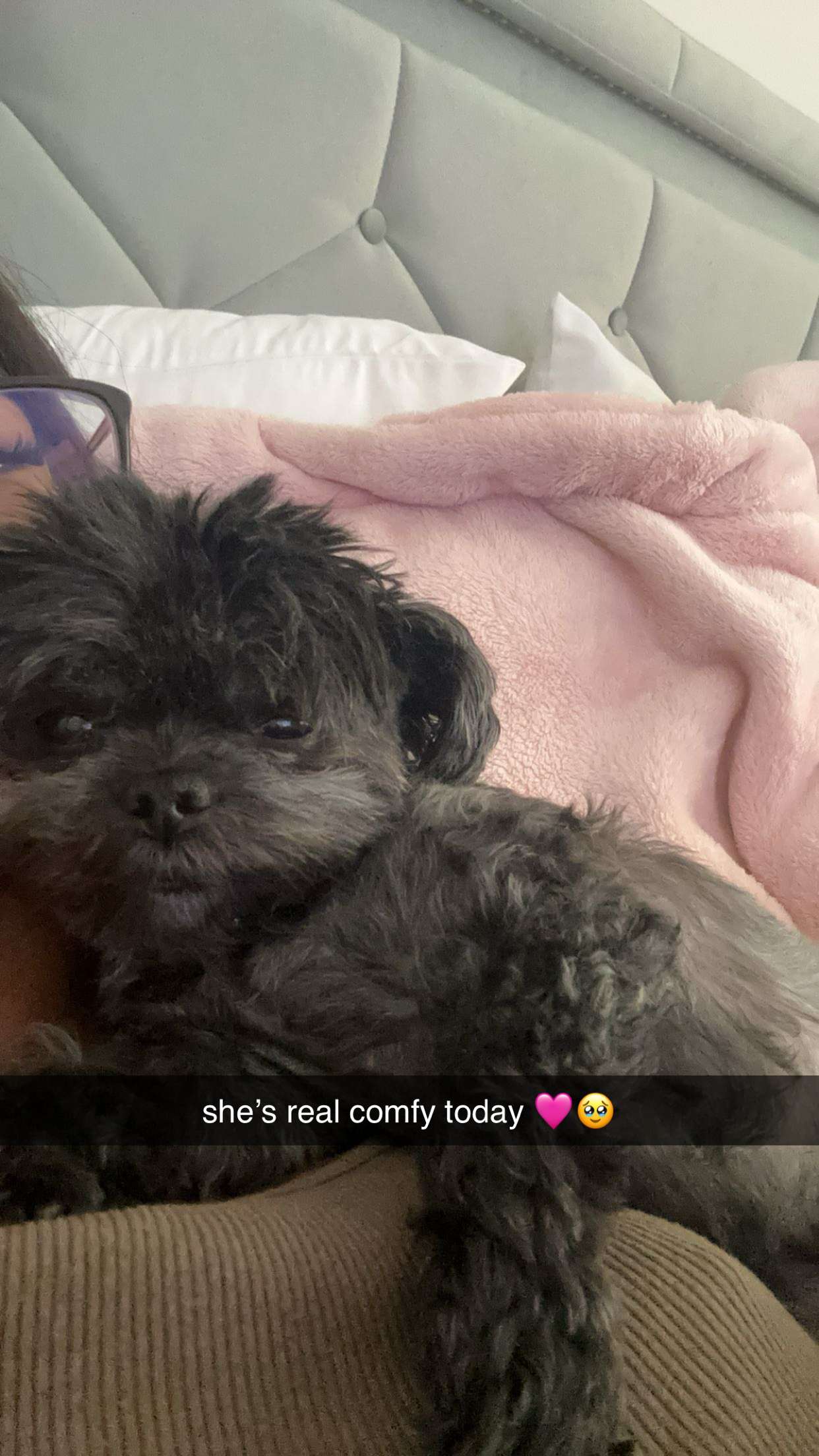 jaynagirl snapchat image archive image