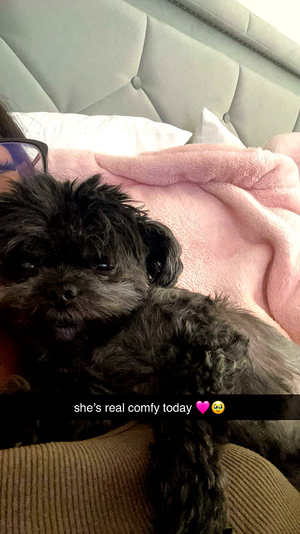 jaynagirl image ~ Altpins