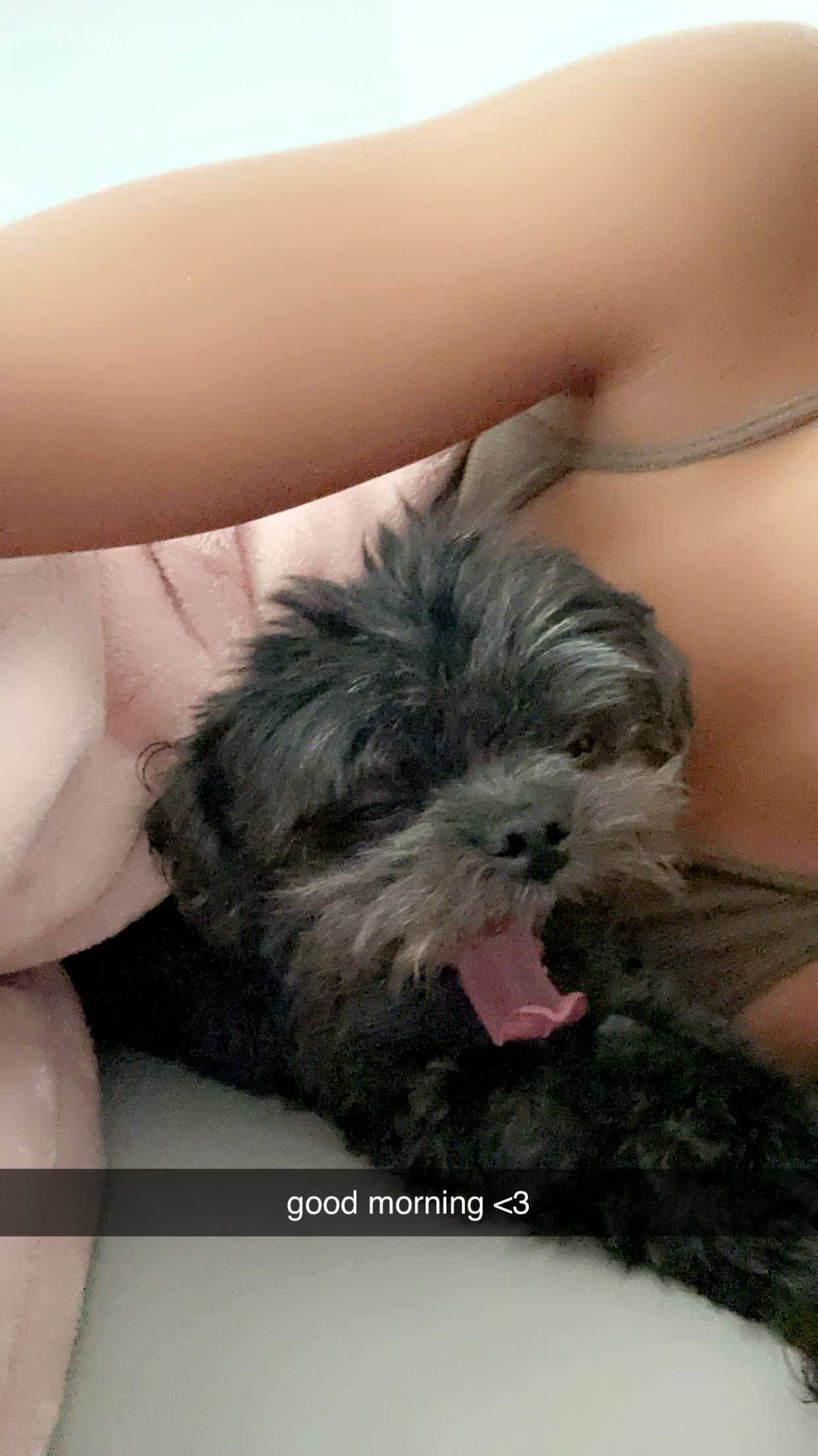 jaynagirl snapchat image archive image