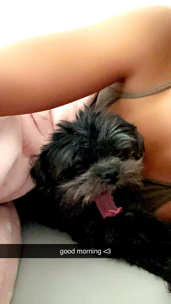 jaynagirl image ~ Altpins