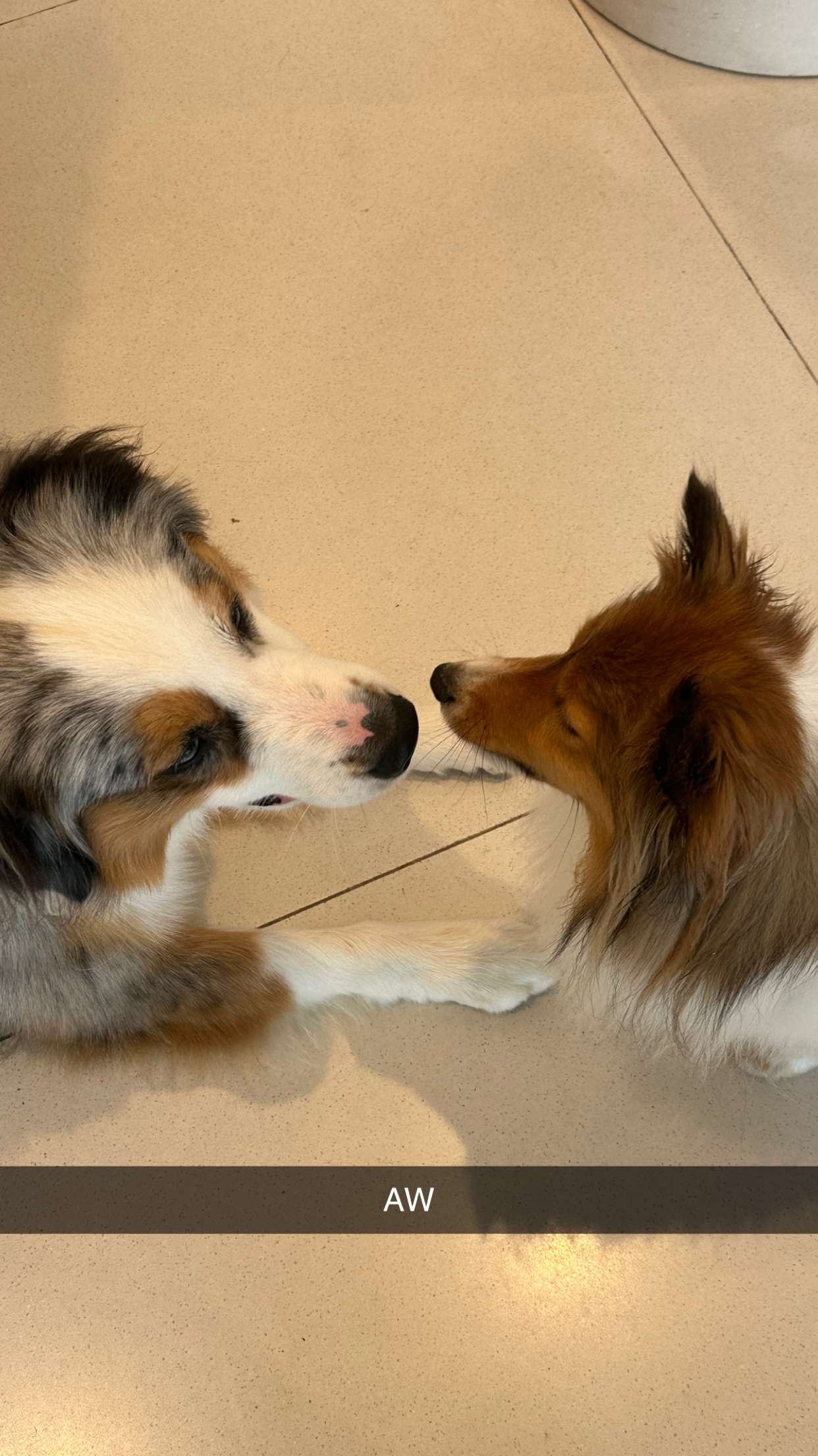 jaynagirl snapchat image archive image