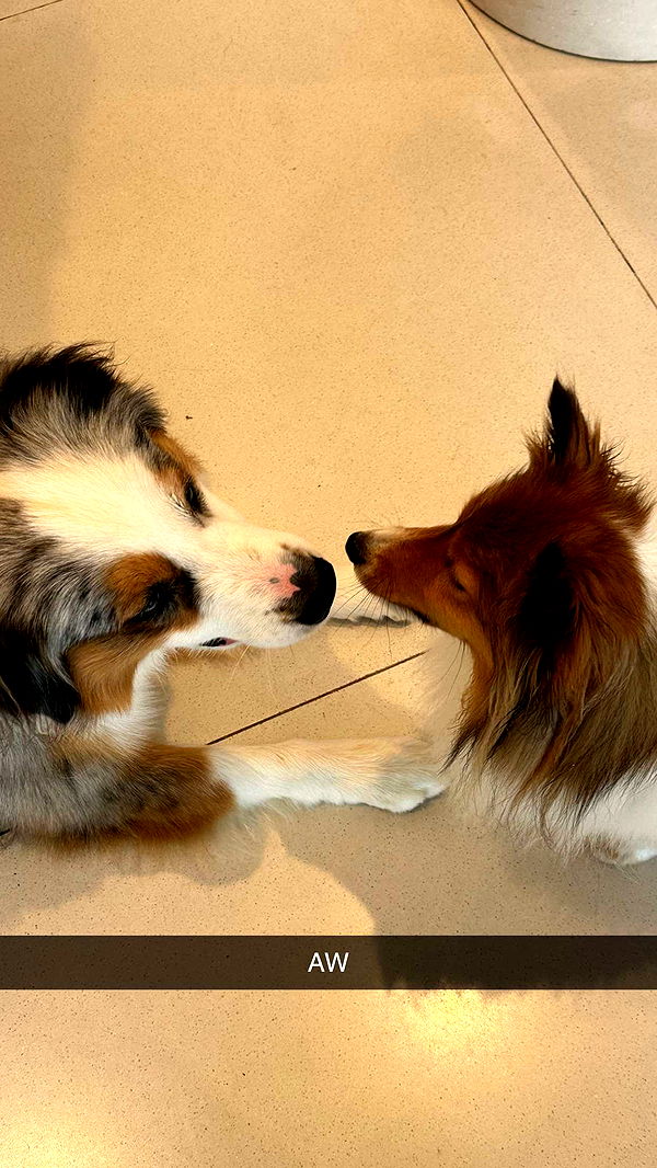 jaynagirl image ~ Altpins