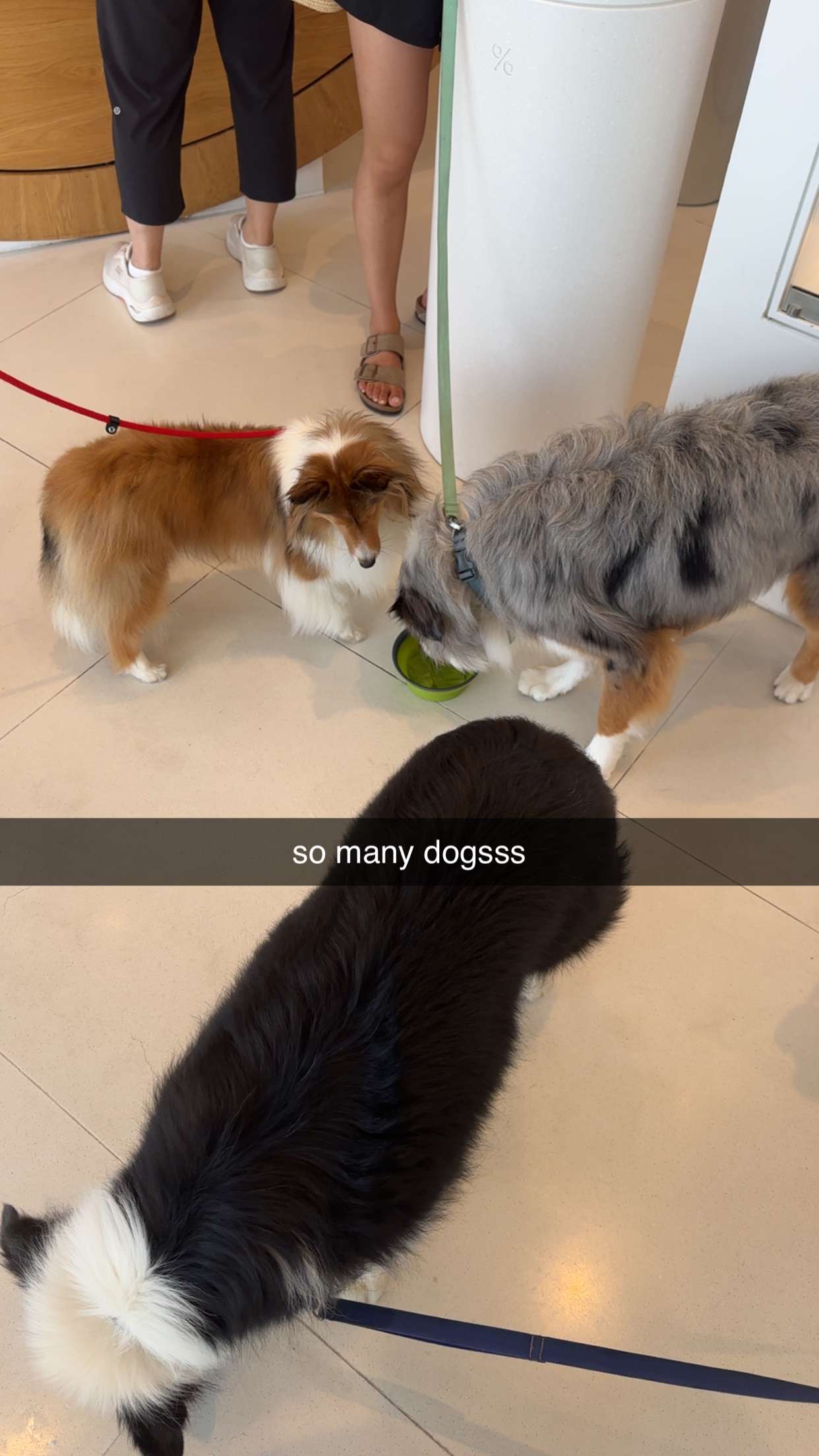 jaynagirl snapchat image archive image