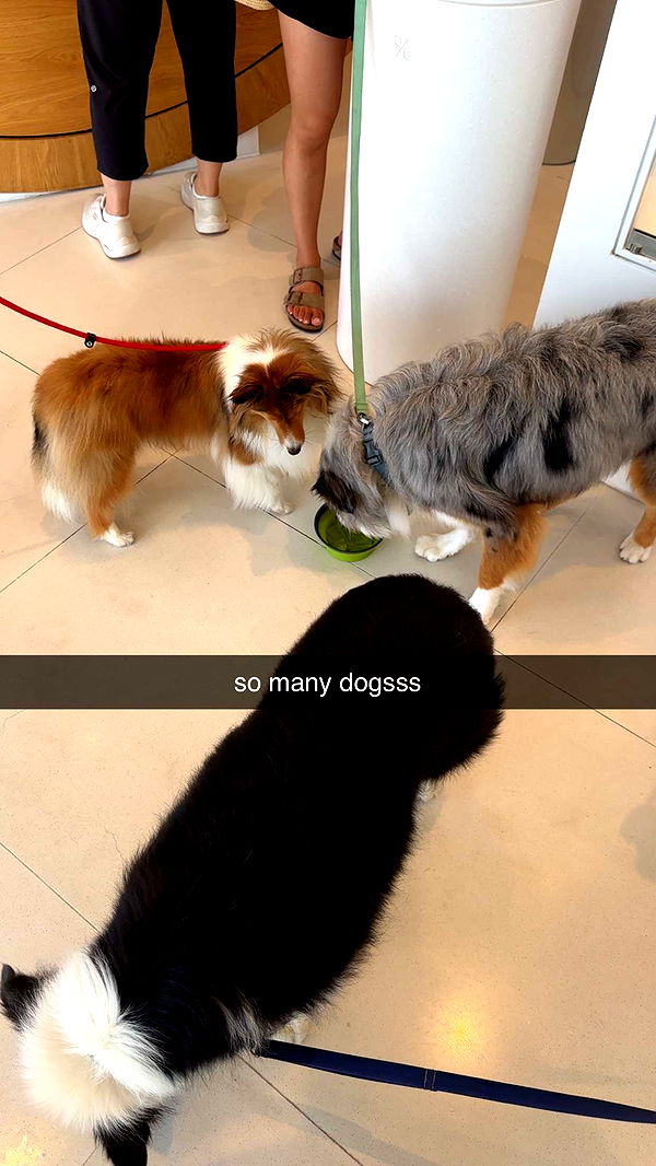 jaynagirl image ~ Altpins