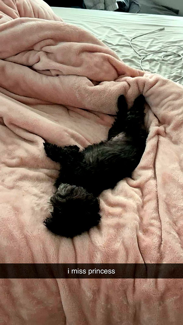 jaynagirl image ~ Altpins