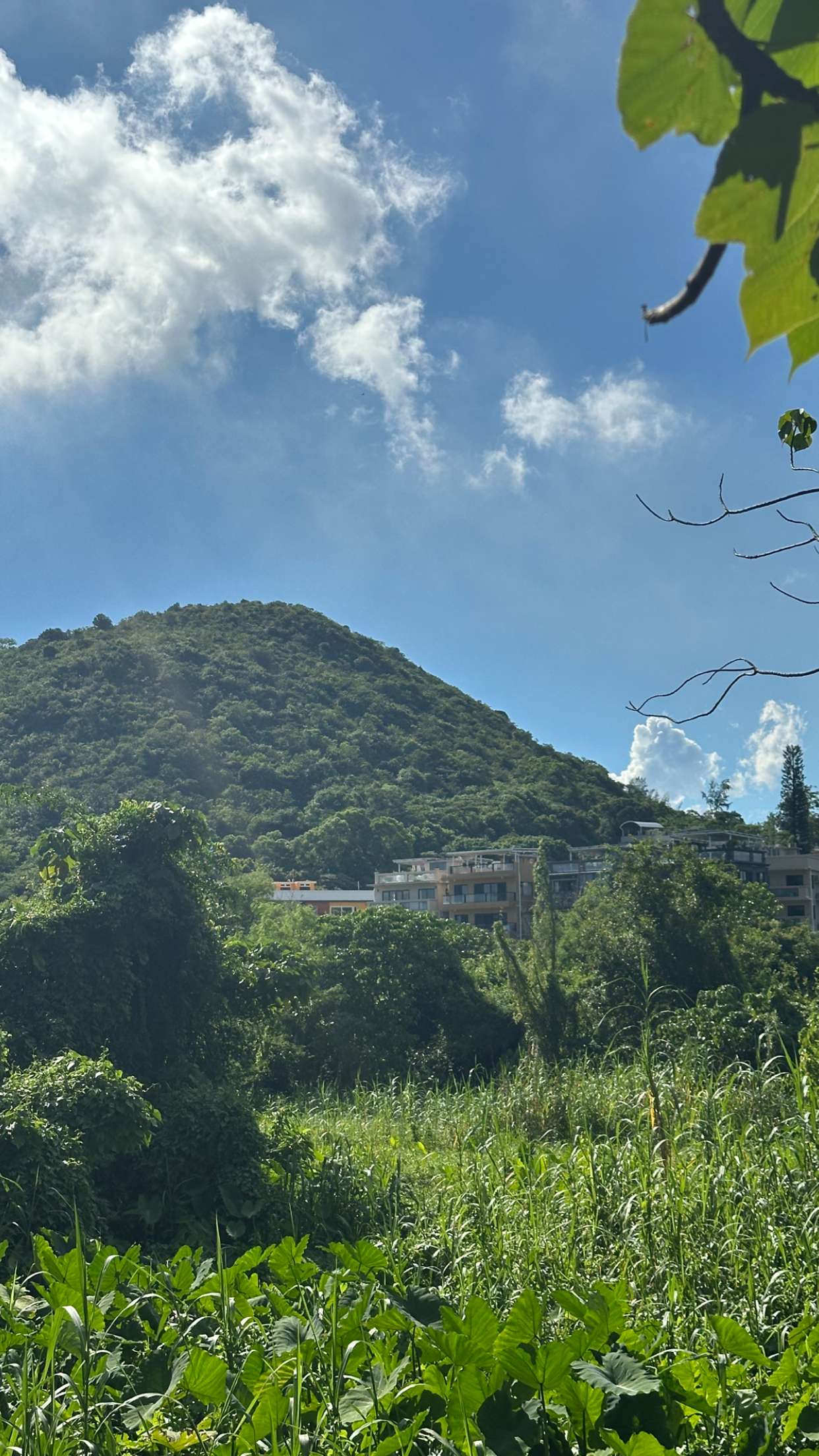 jaynagirl snapchat image archive image