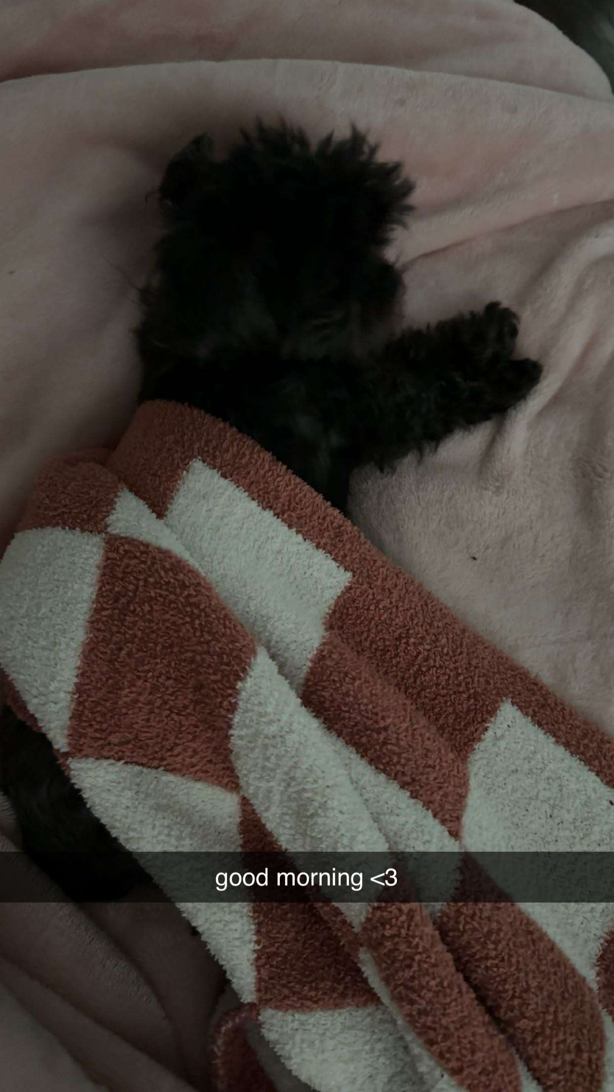 jaynagirl snapchat image archive image