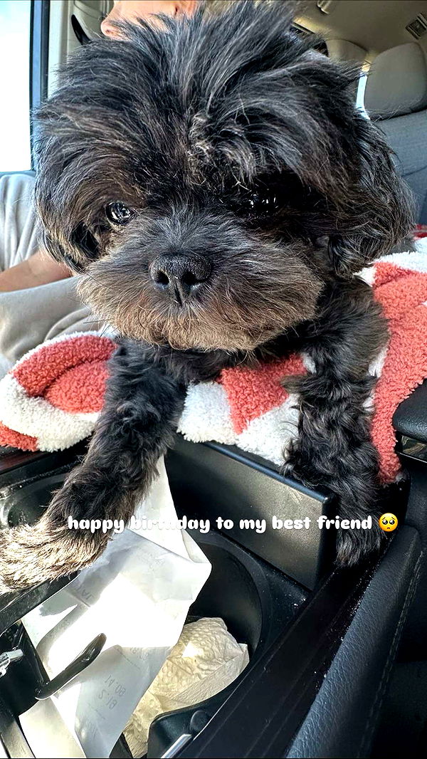 jaynagirl image ~ Altpins