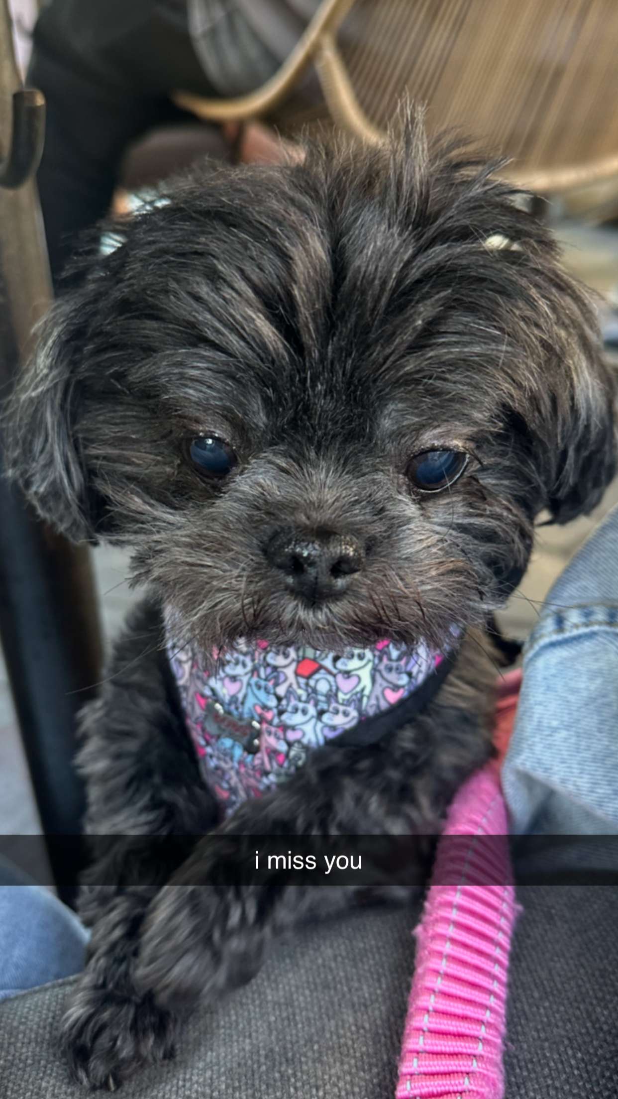 jaynagirl snapchat image archive image