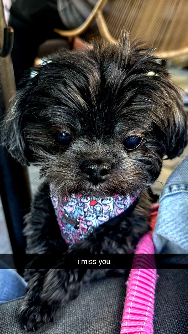 jaynagirl image ~ Altpins