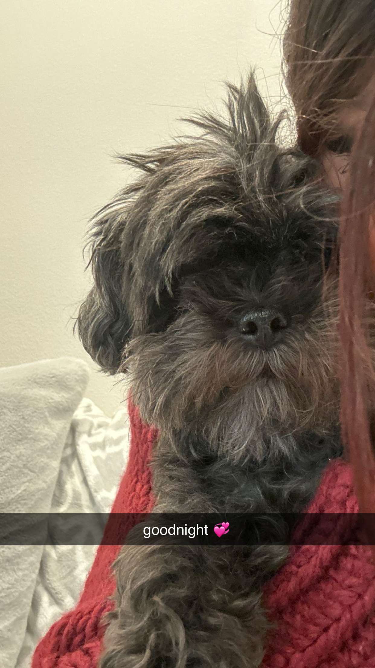 jaynagirl snapchat image archive image