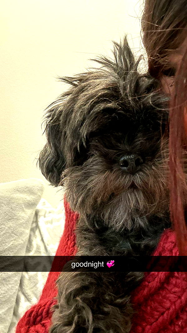 jaynagirl image ~ Altpins