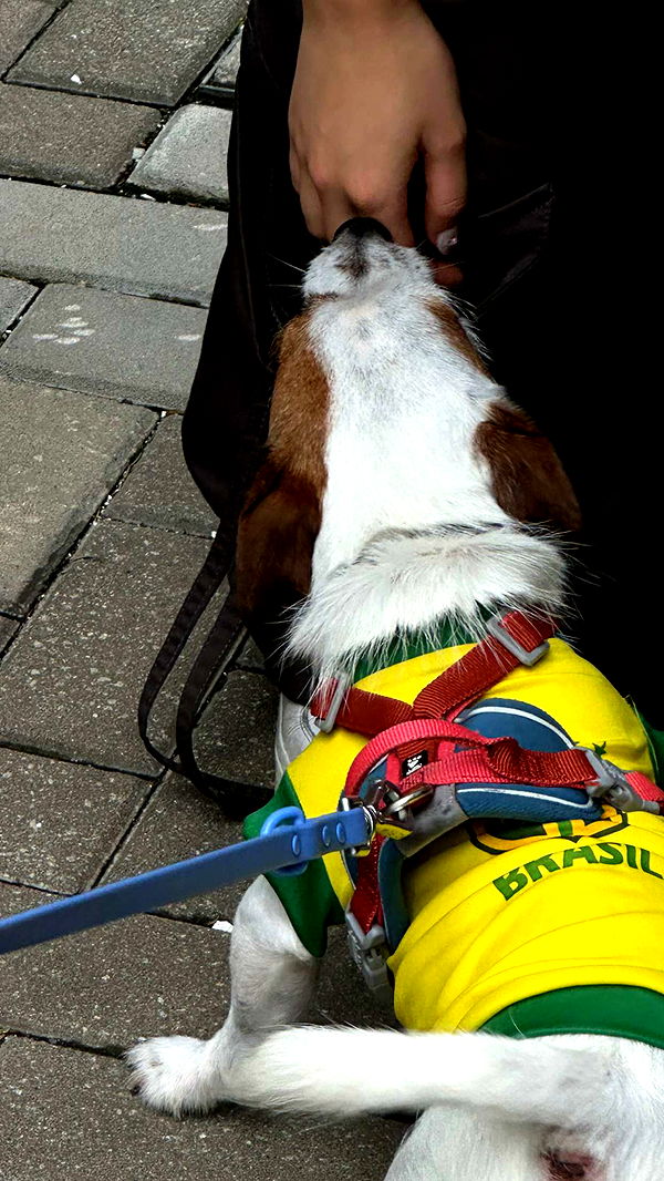 jaynagirl image ~ Altpins