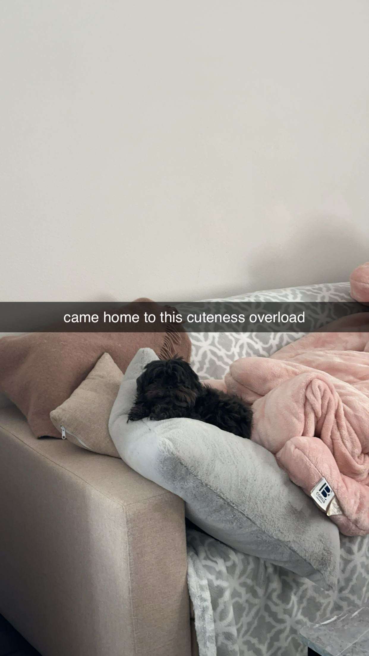 jaynagirl snapchat image archive image