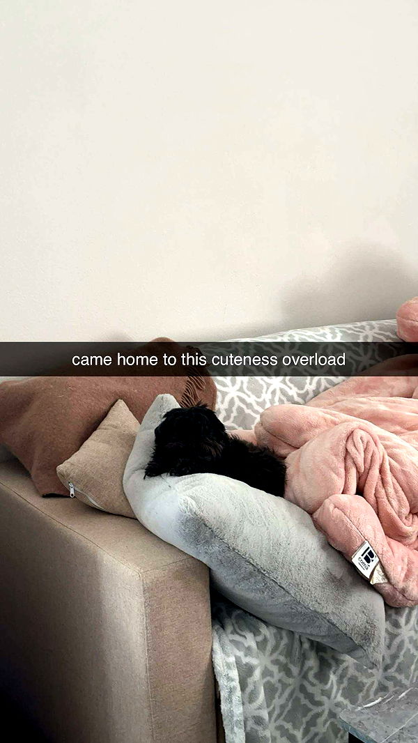 jaynagirl image ~ Altpins