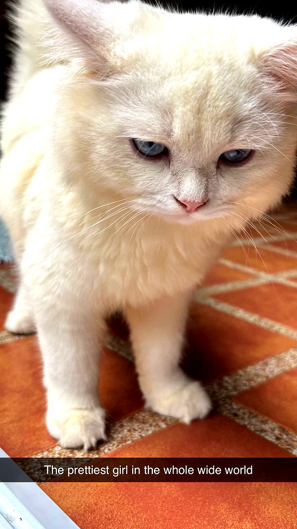 joell_perry image ~ Altpins