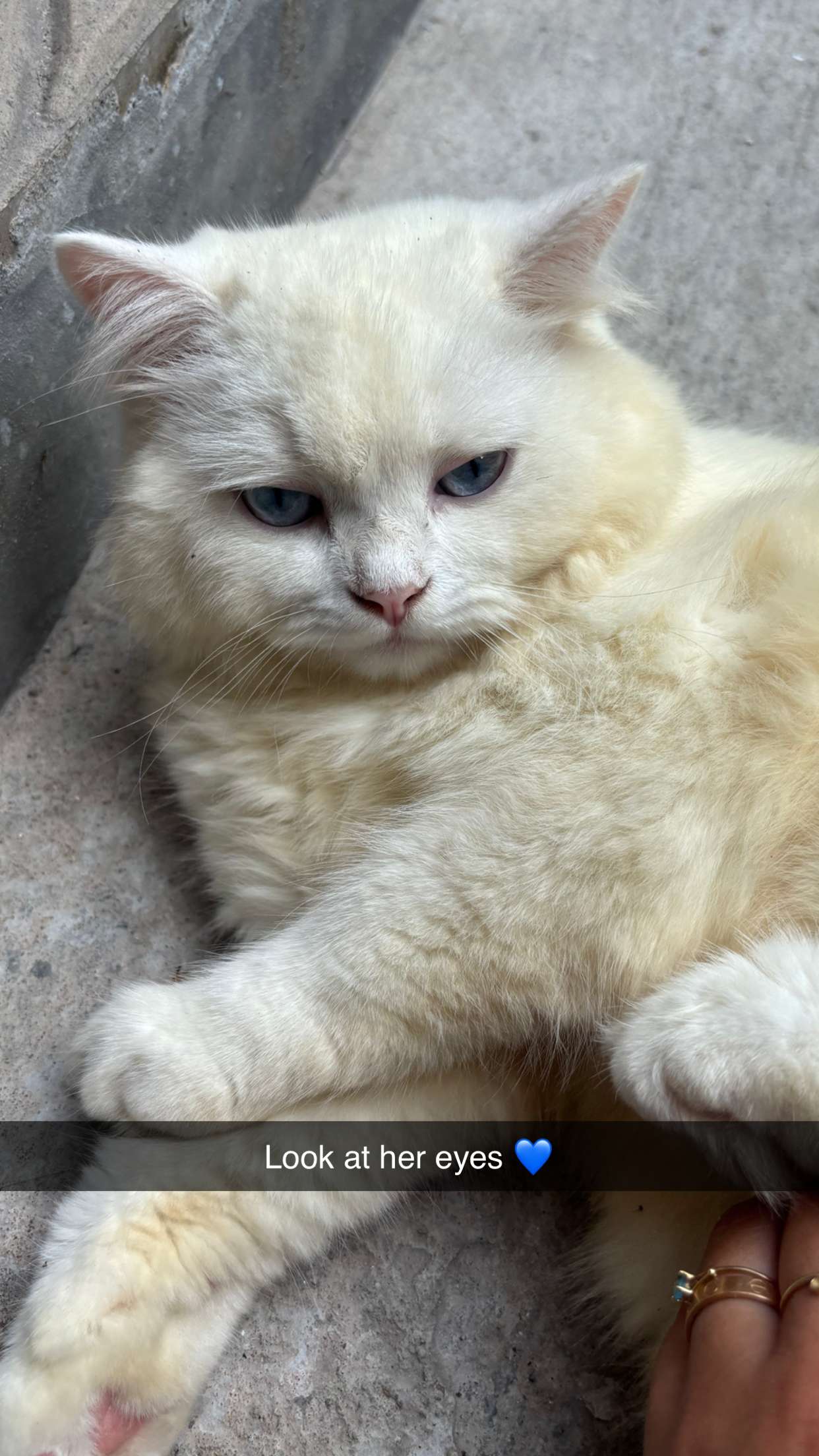 joell_perry snapchat image archive image