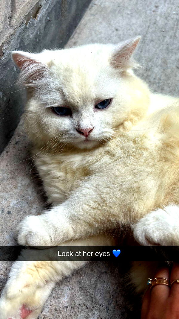 joell_perry image ~ Altpins