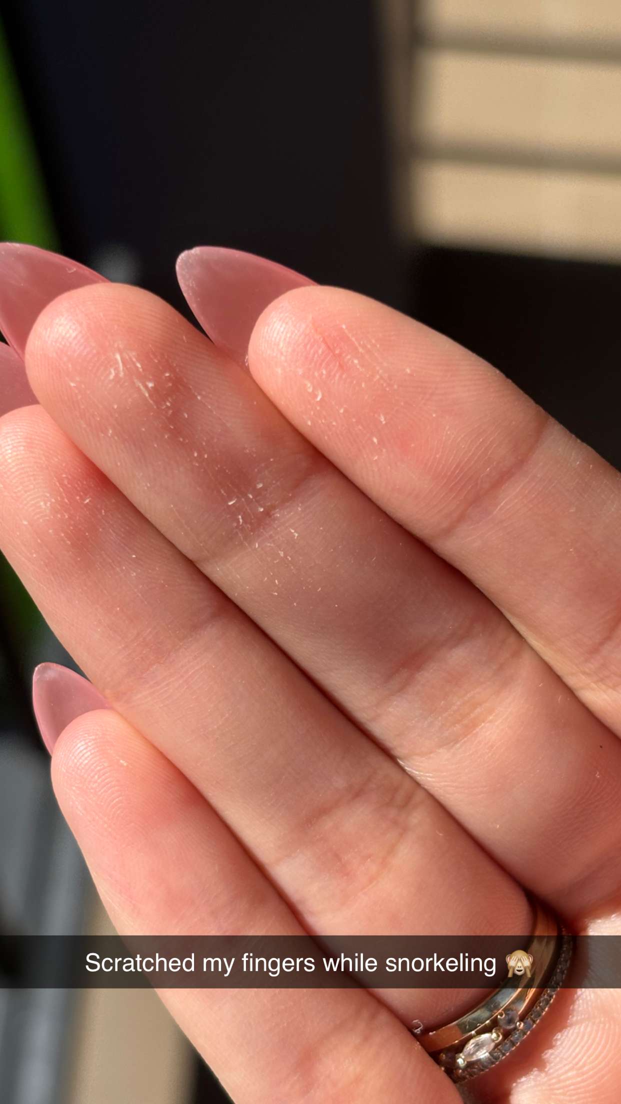 joell_perry snapchat image archive image