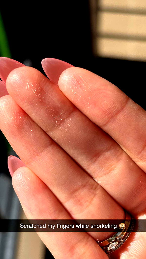 joell_perry image ~ Altpins