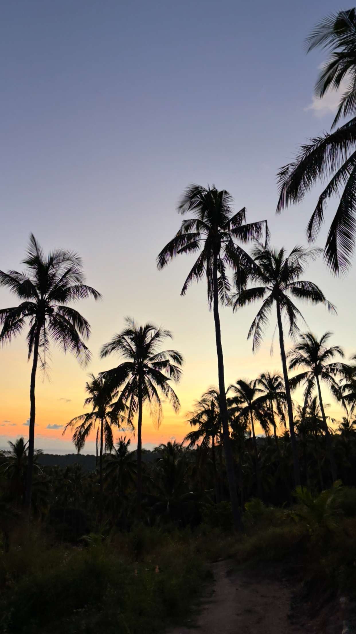 joell_perry snapchat image archive image