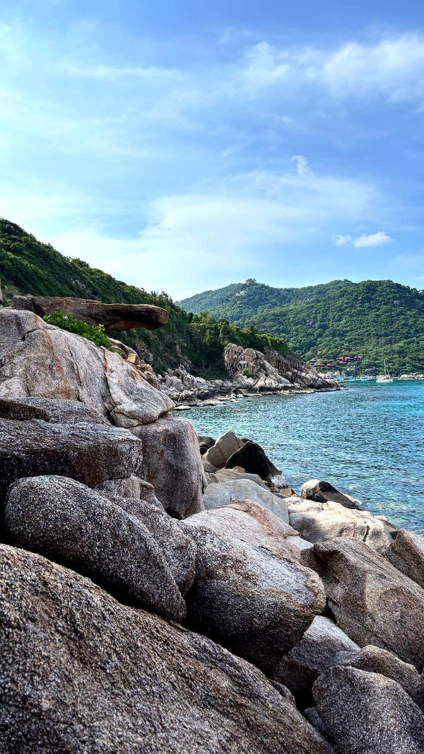 joell_perry image ~ Altpins