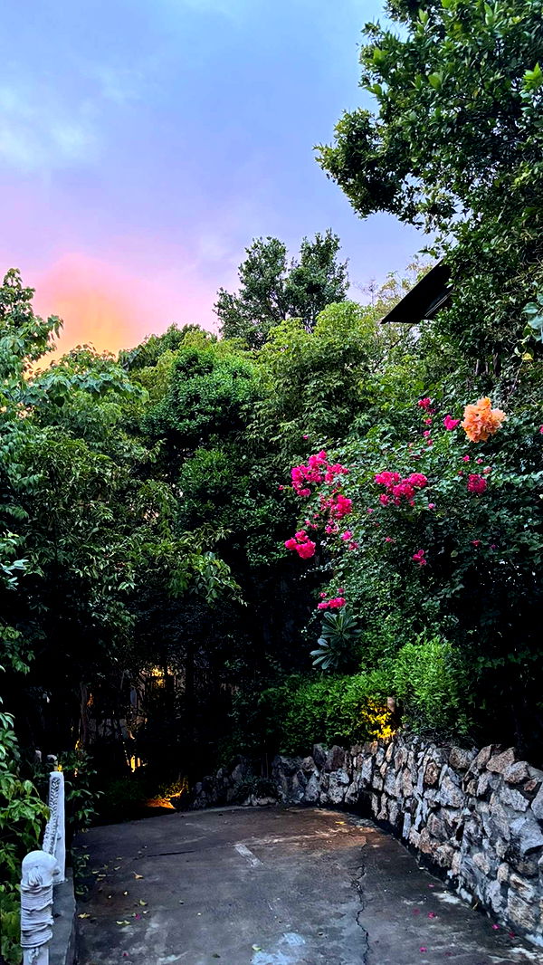 joell_perry image ~ Altpins