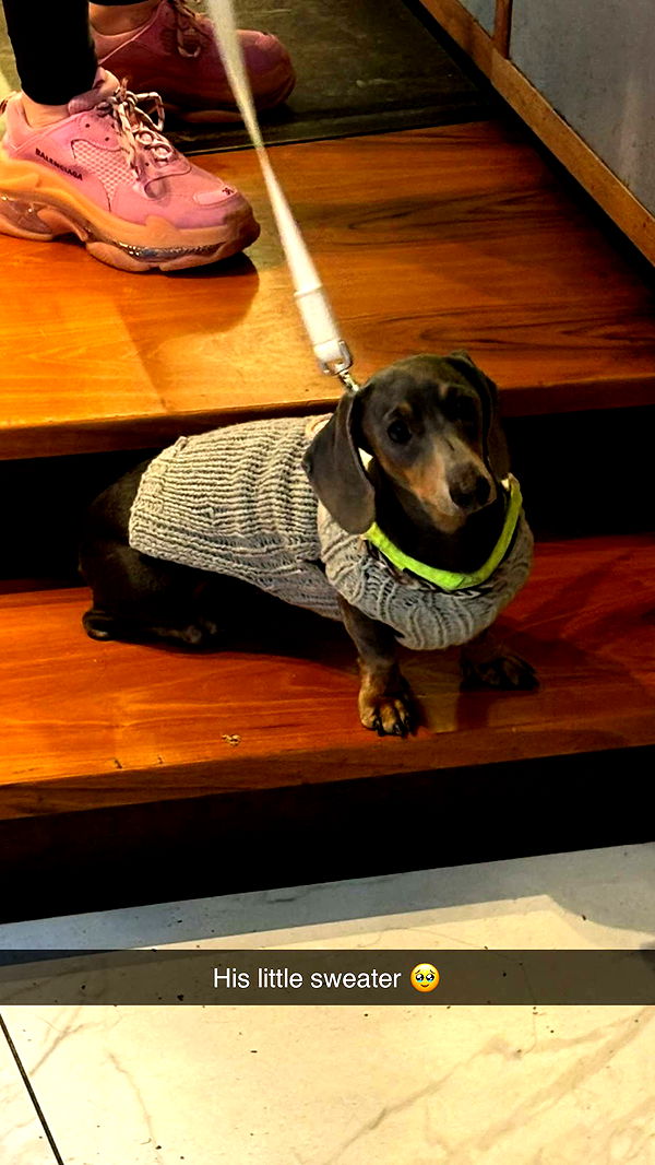 joell_perry image ~ Altpins