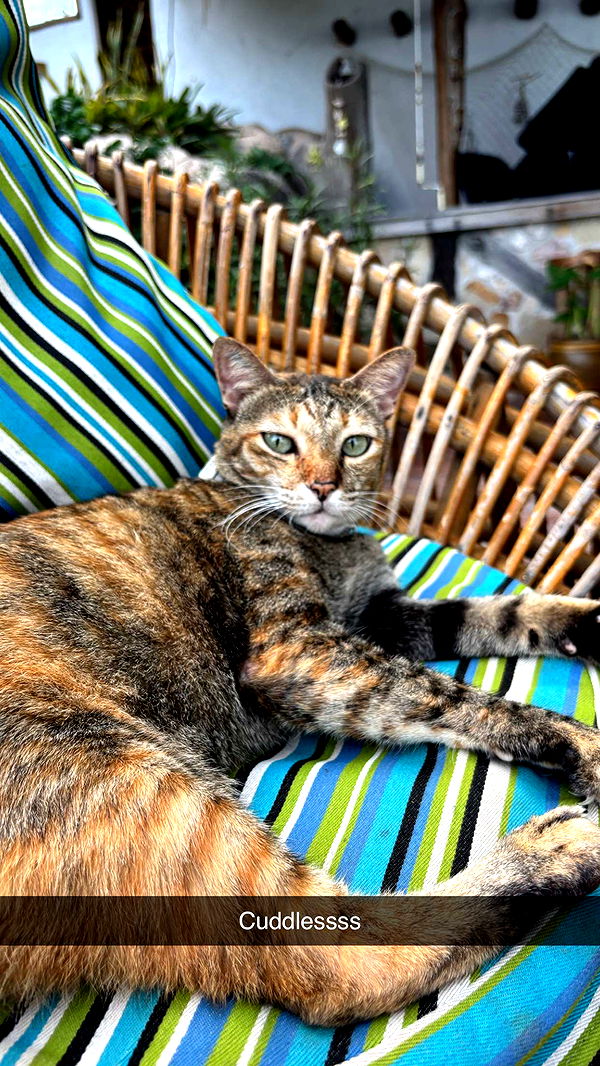 joell_perry image ~ Altpins